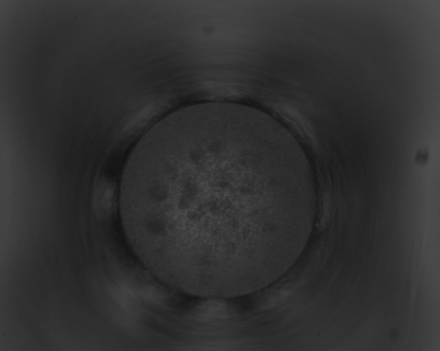 X0000093100123200710031507