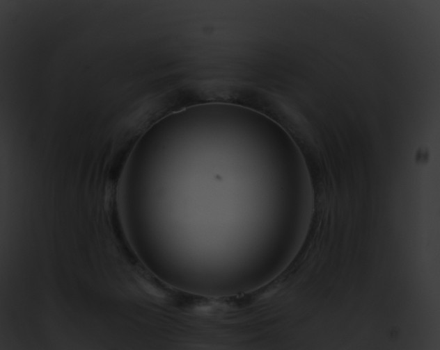 X0000093100125200710031506