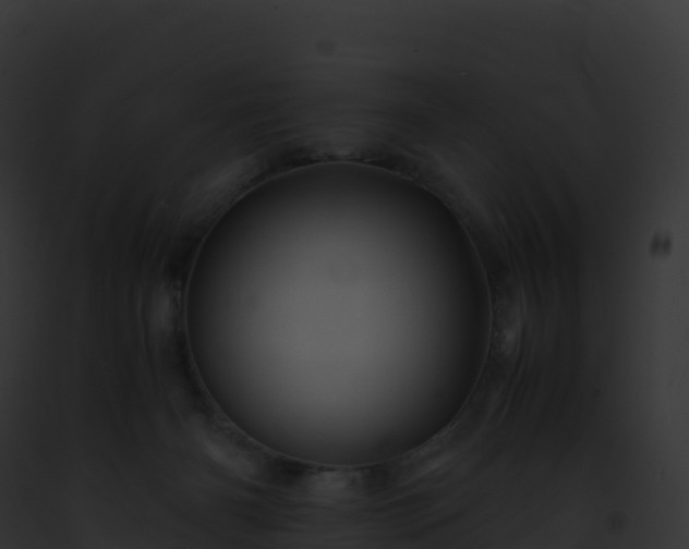 X0000093100126200710031506