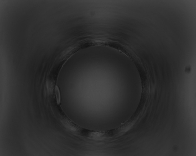 X0000093100139200710031506