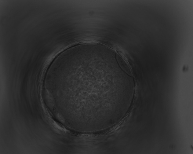 X0000093100145200710031506
