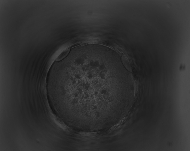 X0000093100147200710031506