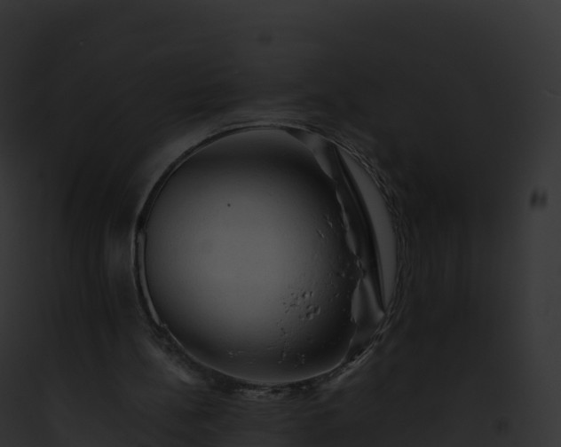 X0000093100148200710031506
