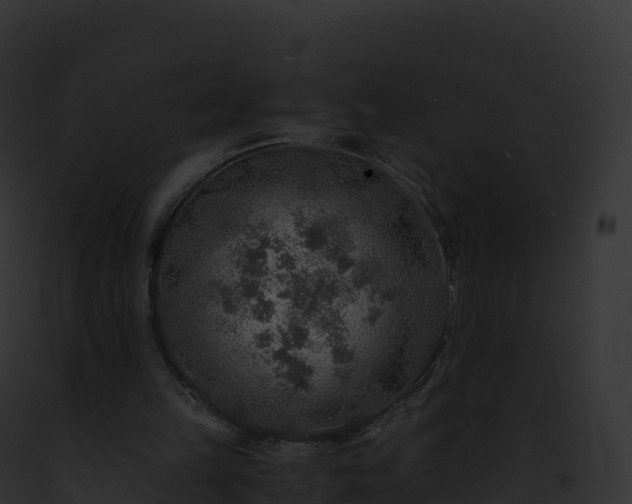X0000093100149200710031506