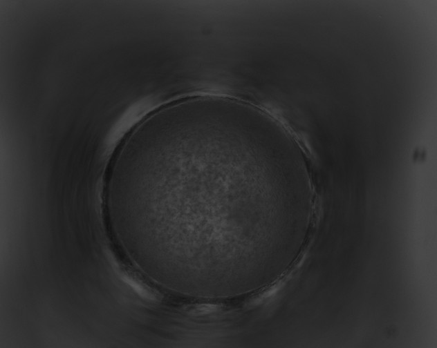 X0000093100151200710031506