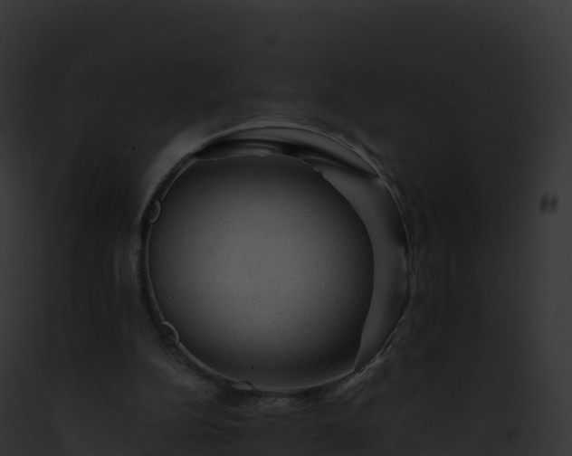 X0000093100152200710031506