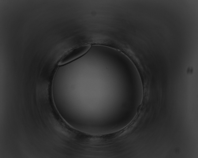 X0000093100154200710031506