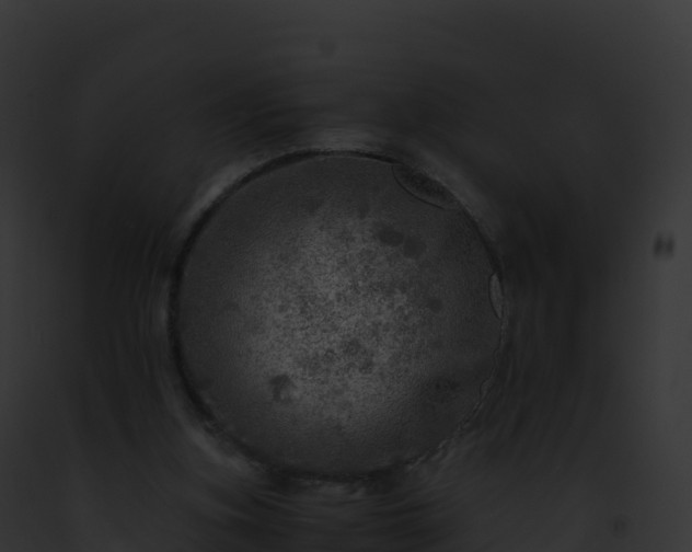 X0000093100155200710031506