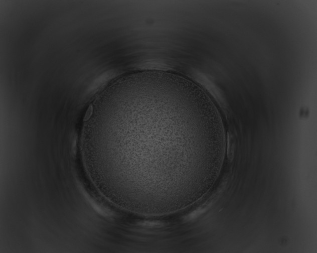 X0000093100157200710031506