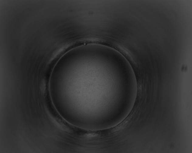 X0000093100158200710031506