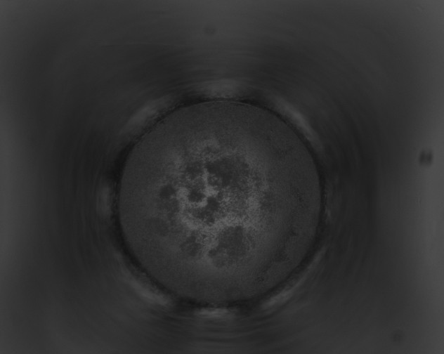 X0000093100161200710031506
