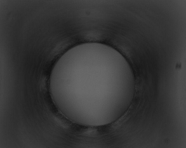 X0000093100162200710031506