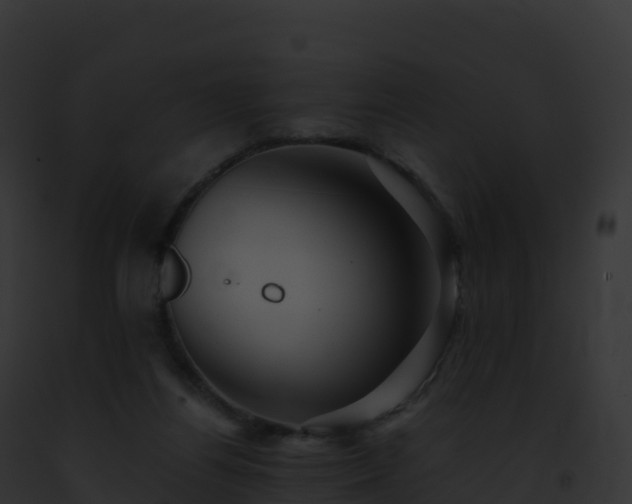 X0000093100164200710031506