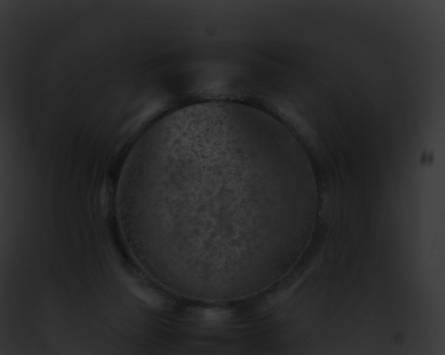 X0000093100165200710031506