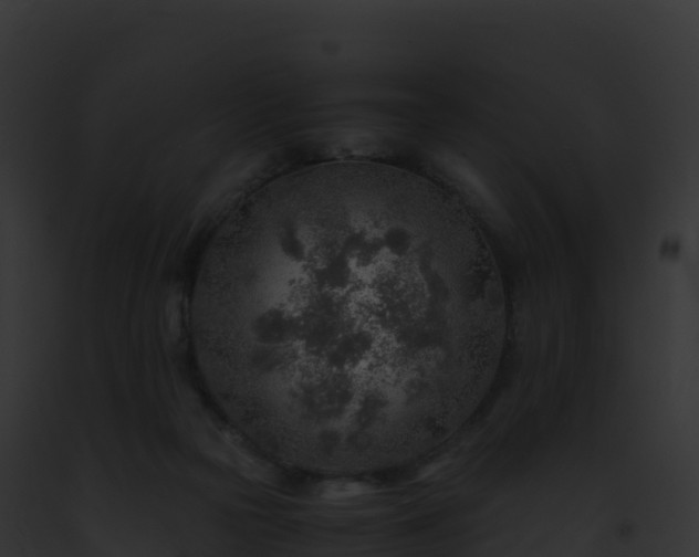 X0000093100169200710031506