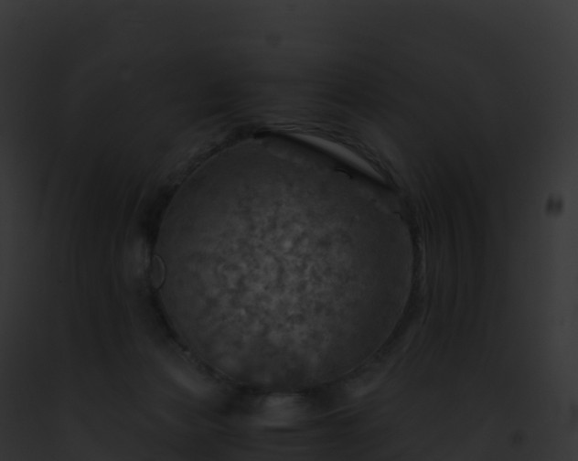 X0000093100173200710031506