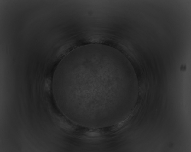 X0000093100175200710031506