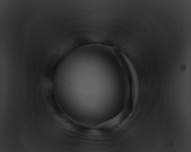 X0000093100176200710031506