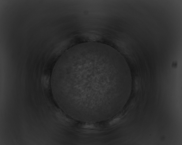 X0000093100177200710031506