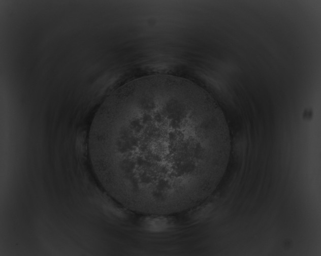 X0000093100181200710031506