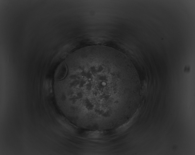 X0000093100182200710031506