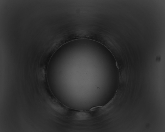 X0000093100183200710031506