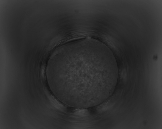 X0000093100185200710031506