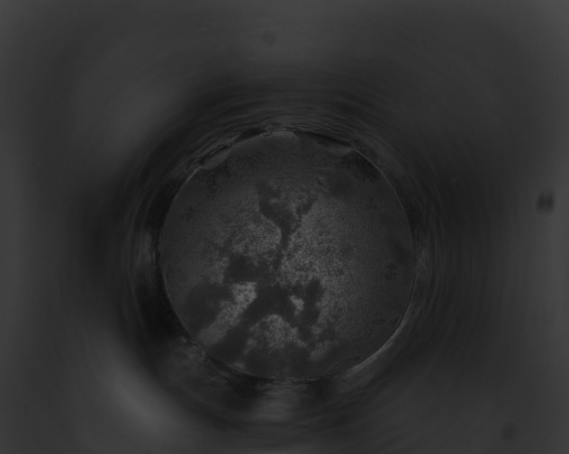 X0000093100191200710031506