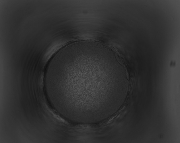 X0000093100194200710031506
