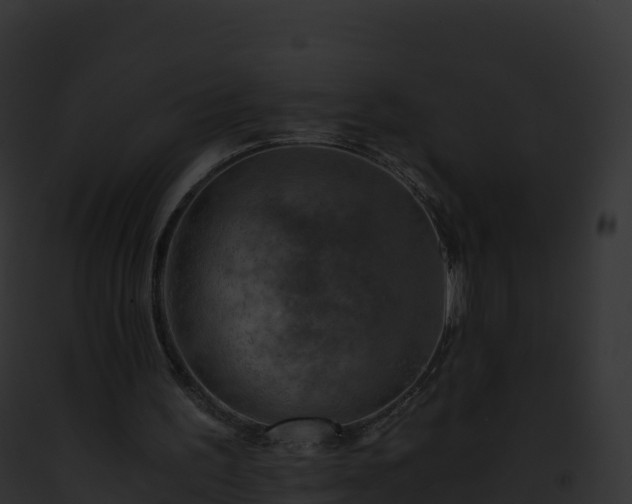 X0000093100195200710031506