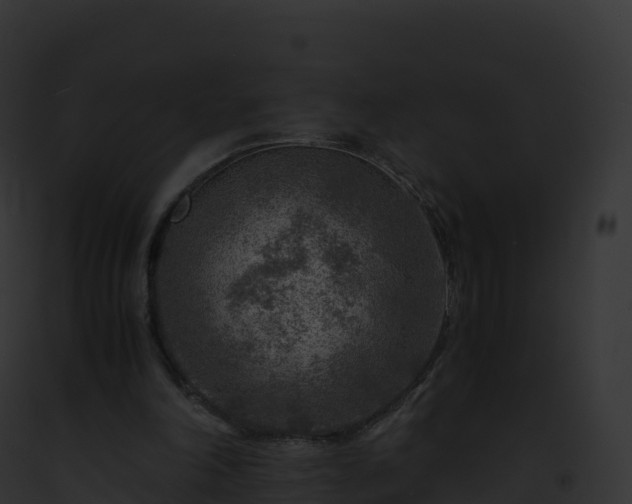 X0000093100198200710031506