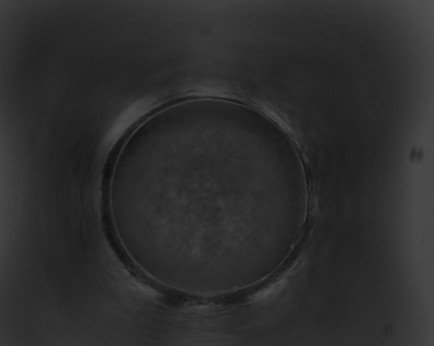 X0000093100199200710031506