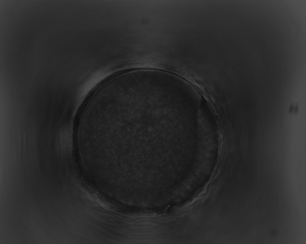X0000093100200200710031506