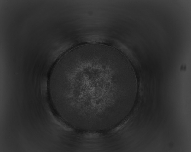X0000093100202200710031506