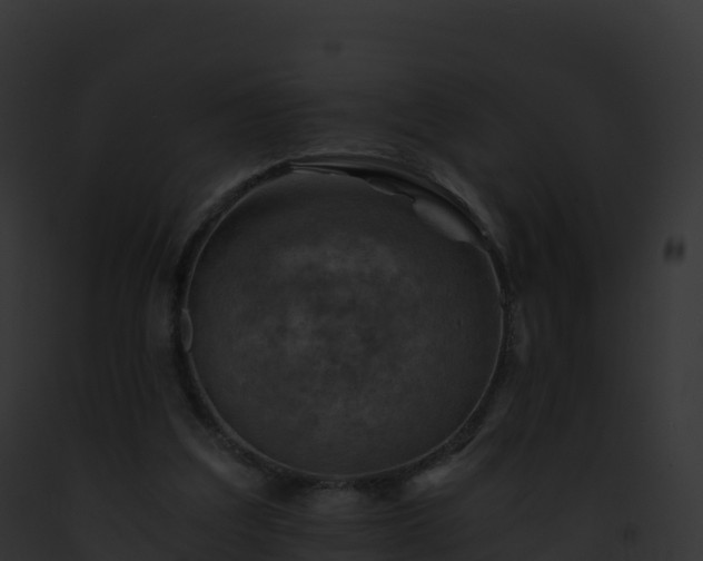 X0000093100203200710031506