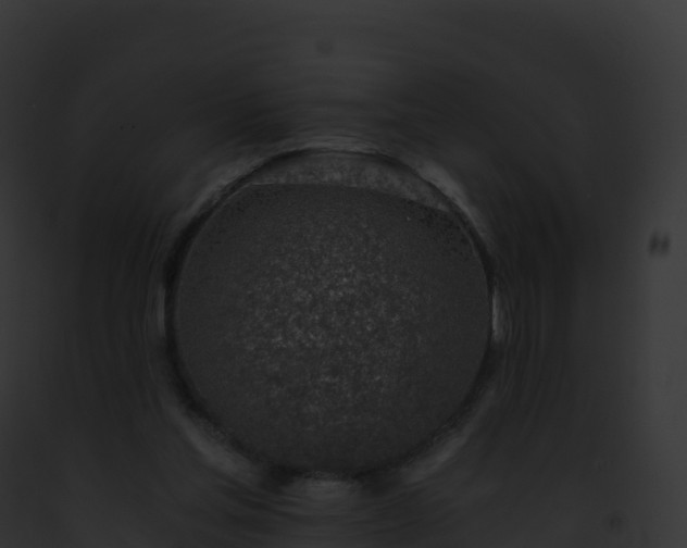 X0000093100205200710031506