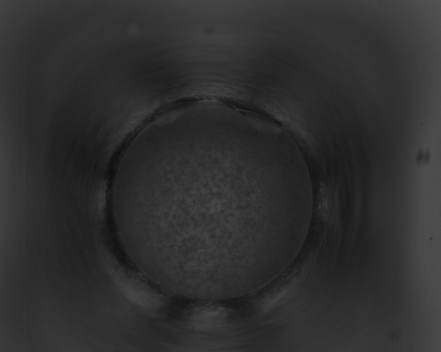 X0000093100206200710031505