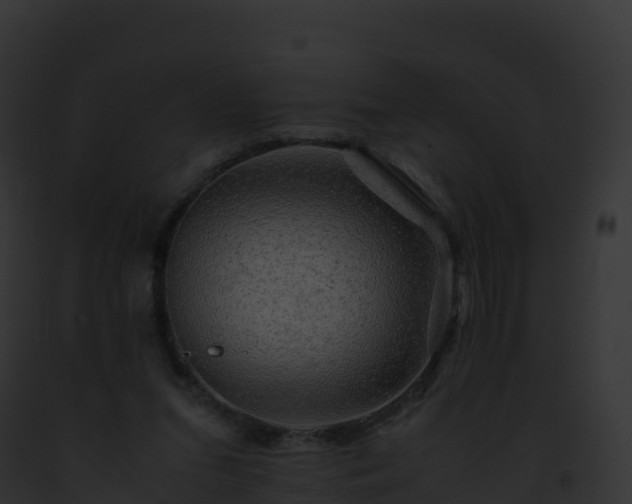 X0000093100207200710031505