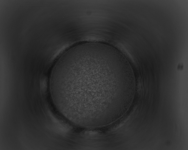 X0000093100208200710031505