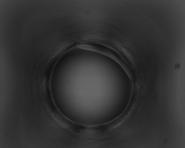 X0000093100209200710031505