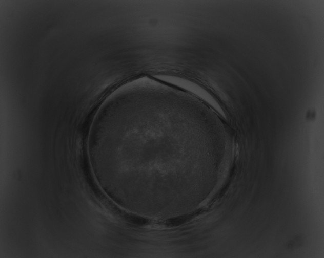 X0000093100211200710031505