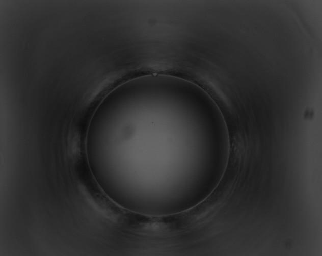 X0000093100212200710031505