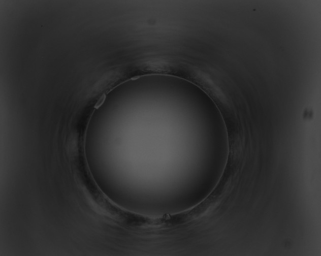 X0000093100213200710031505