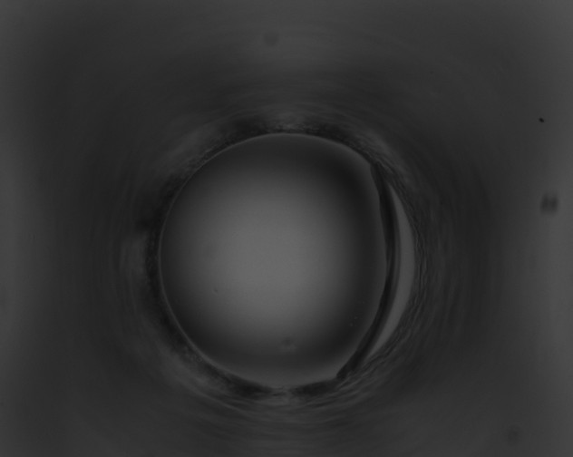 X0000093100217200710031505
