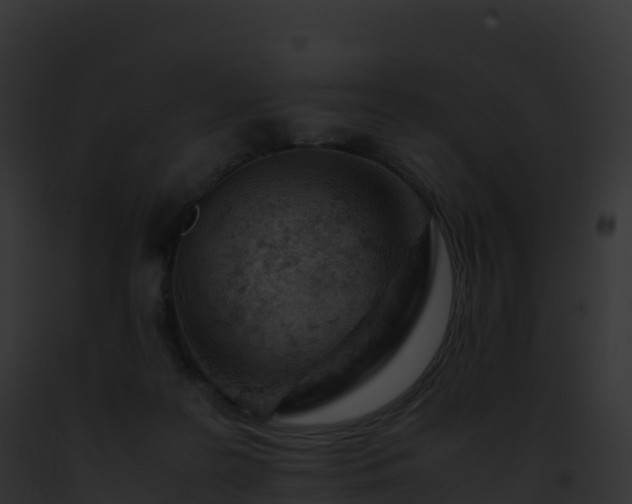 X0000093100219200710031505
