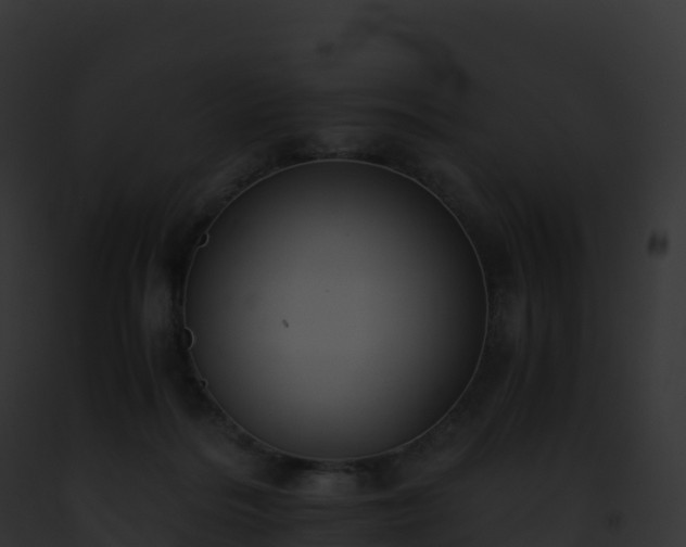 X0000093100220200710031505