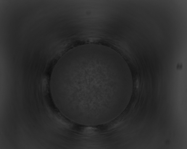 X0000093100222200710031505