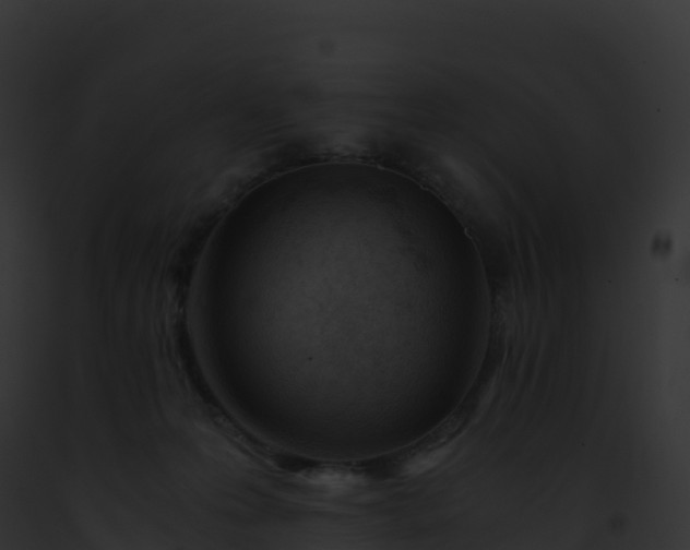 X0000093100223200710031505