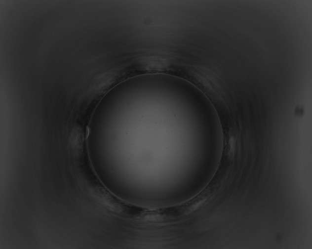 X0000093100228200710031505