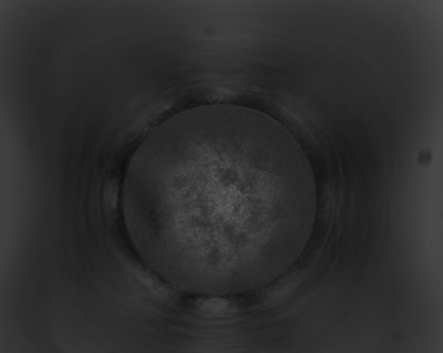 X0000093100230200710031505